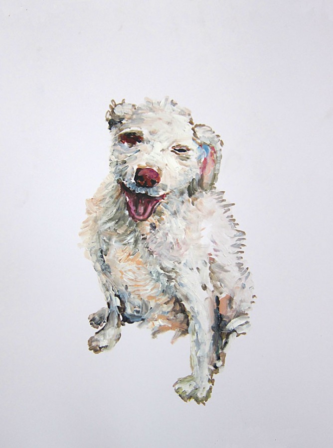 »Ein Hund«
Öl/Papier
50cm x 34cm
2015